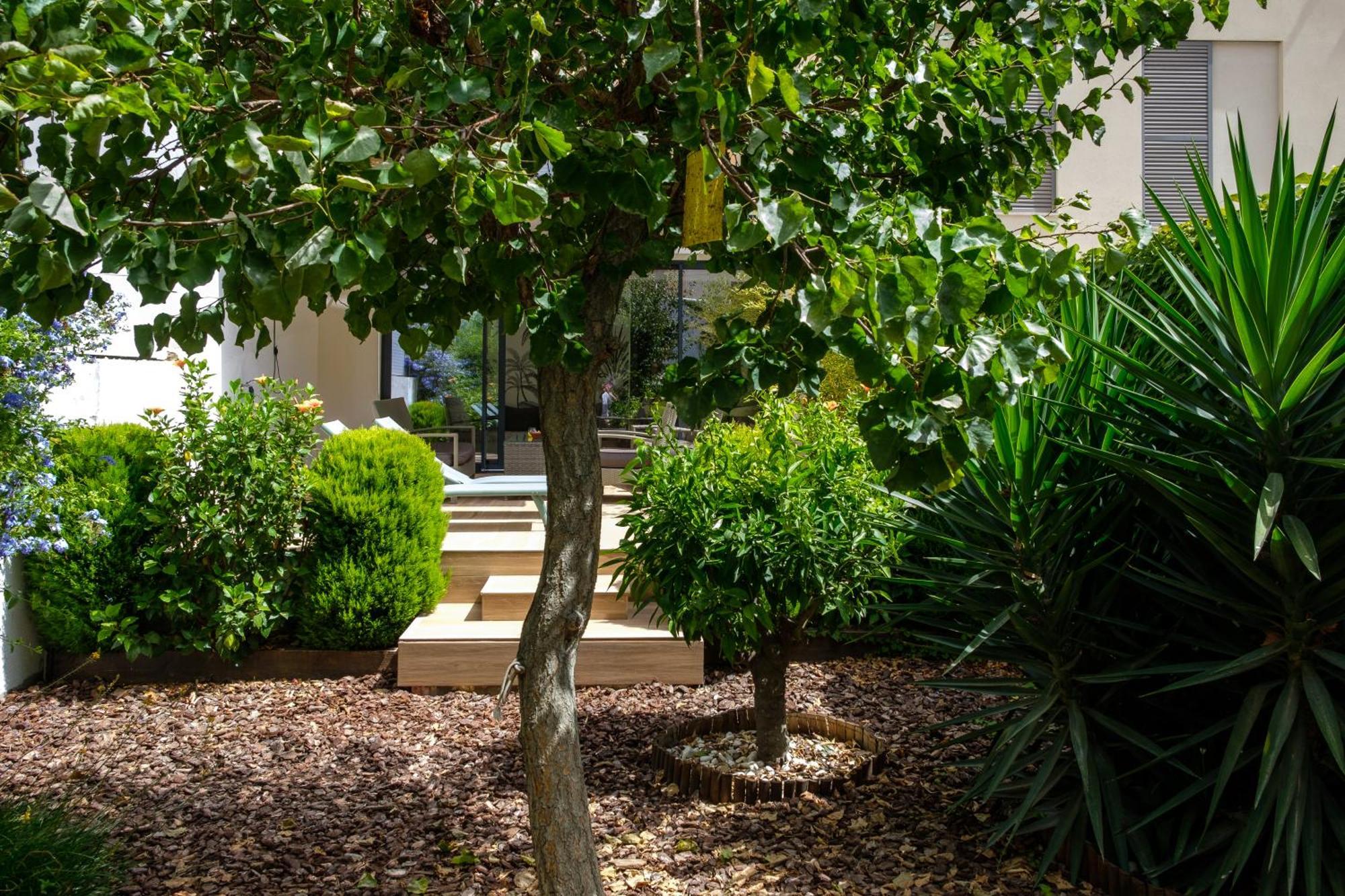 Pretty House Sa Font In Santa Catalina Palma City Exterior foto