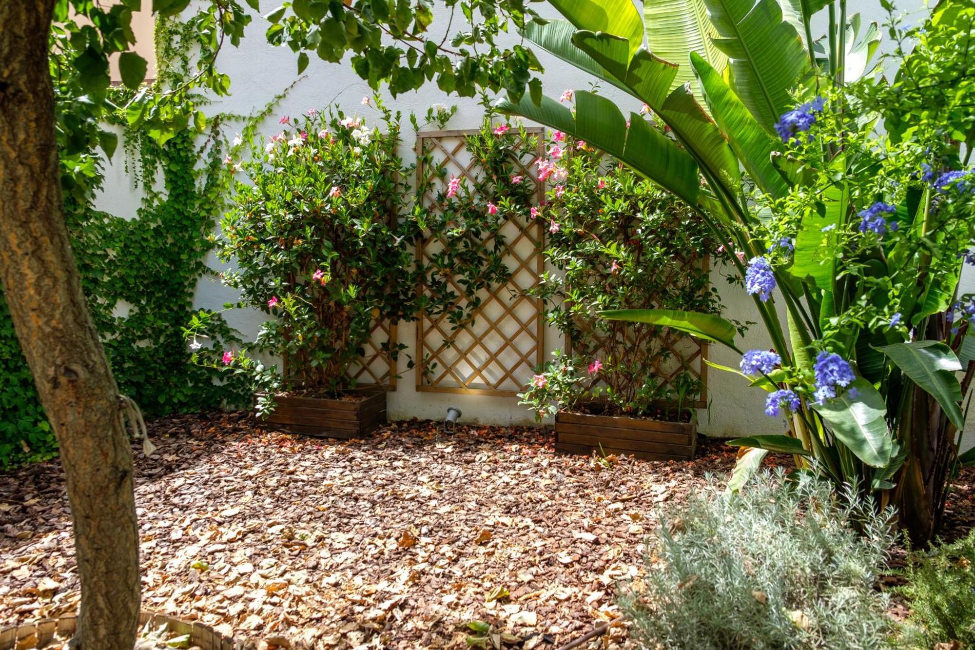 Pretty House Sa Font In Santa Catalina Palma City Exterior foto