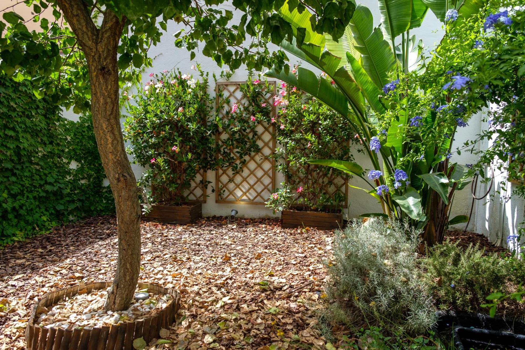 Pretty House Sa Font In Santa Catalina Palma City Exterior foto